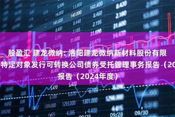 股盈汇 建龙微纳: 洛阳建龙微纳新材料股份有限公司向不特定对象发行可转换公司债券受托管理事务报告(2024年度)