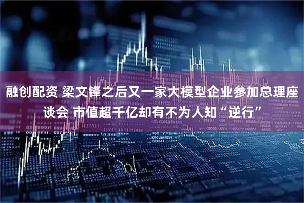 融创配资 梁文锋之后又一家大模型企业参加总理座谈会 市值超千亿却有不为人知“逆行”