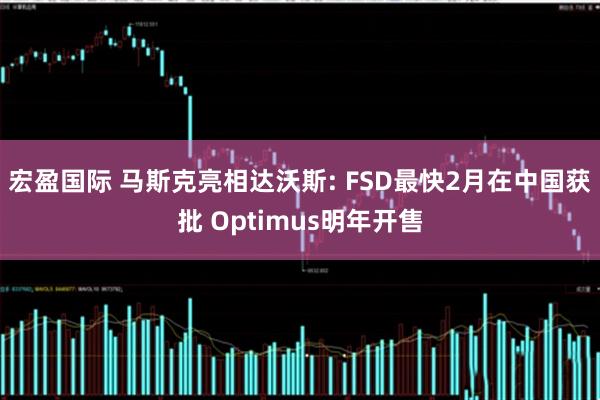 宏盈国际 马斯克亮相达沃斯: FSD最快2月在中国获批 Optimus明年开售
