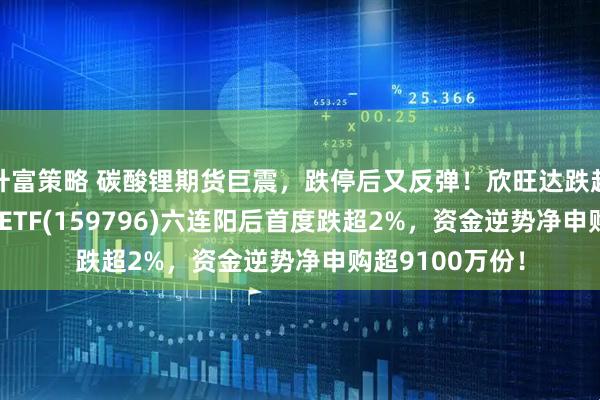 升富策略 碳酸锂期货巨震，跌停后又反弹！欣旺达跌超11%，电池50ETF(159796)六连阳后首度跌超2%，资金逆势净申购超9100万份！