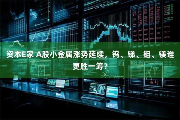 资本E家 A股小金属涨势延续，钨、锑、钼、镁谁更胜一筹？