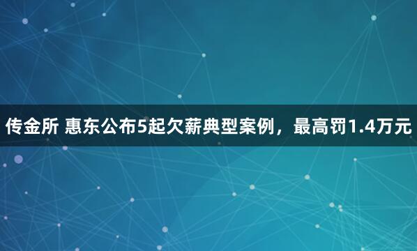 传金所 惠东公布5起欠薪典型案例，最高罚1.4万元